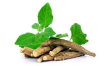 Xalam alprazolam 0.25 mg